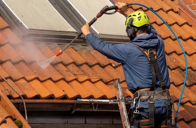 Démoussage et hydrofuge de toiture à Mazaugues